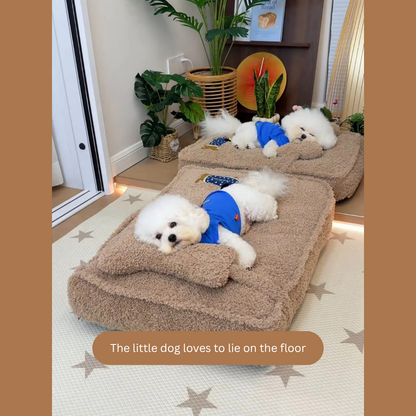 FurHaven Cozy Lounge