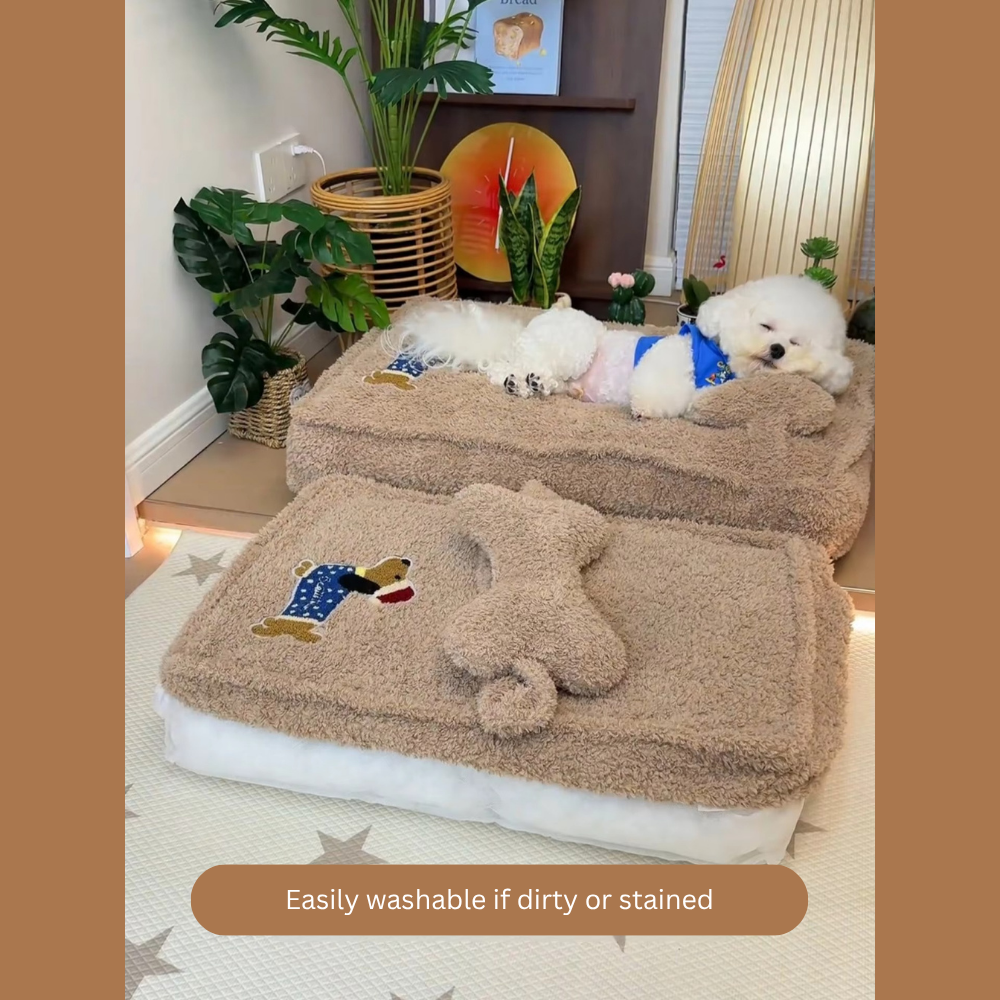 FurHaven Cozy Lounge