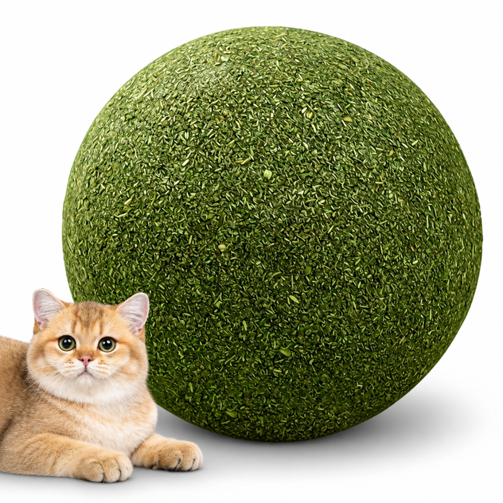 Catnip Chase Ball