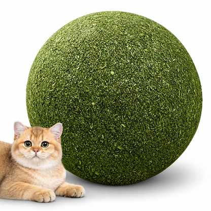 Catnip Chase Ball