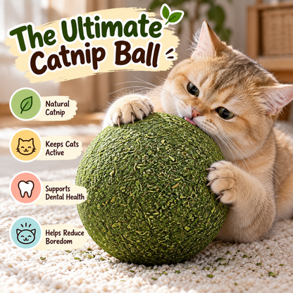 Catnip Chase Ball