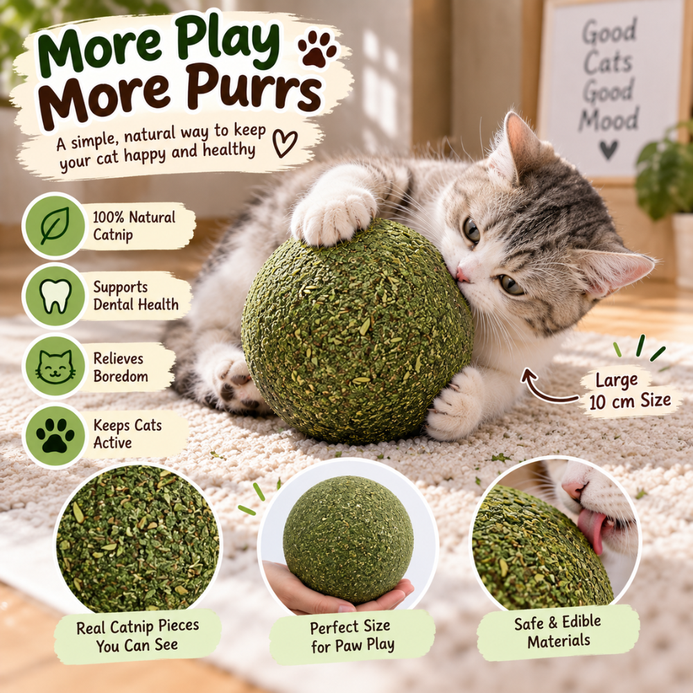 Catnip Chase Ball