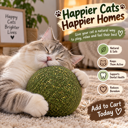 Catnip Chase Ball