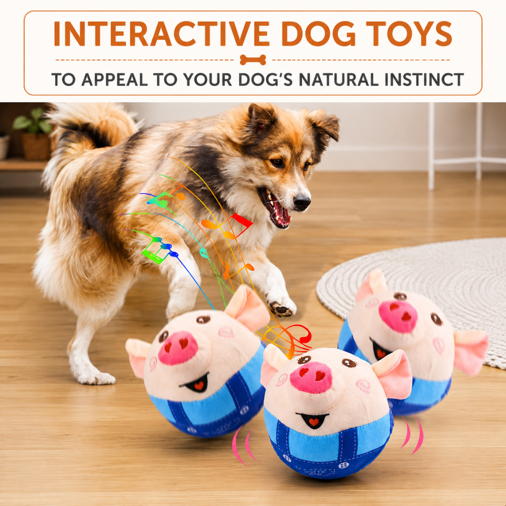 OinkBounce Interactive Toy