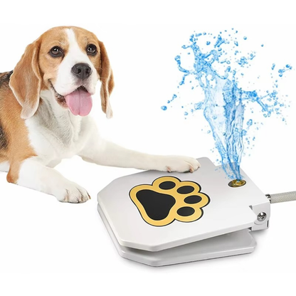 PawSplash Pro