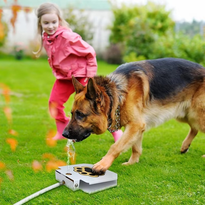 PawSplash Pro