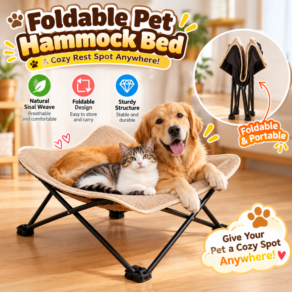 PurrLounge Foldable Cat Chair