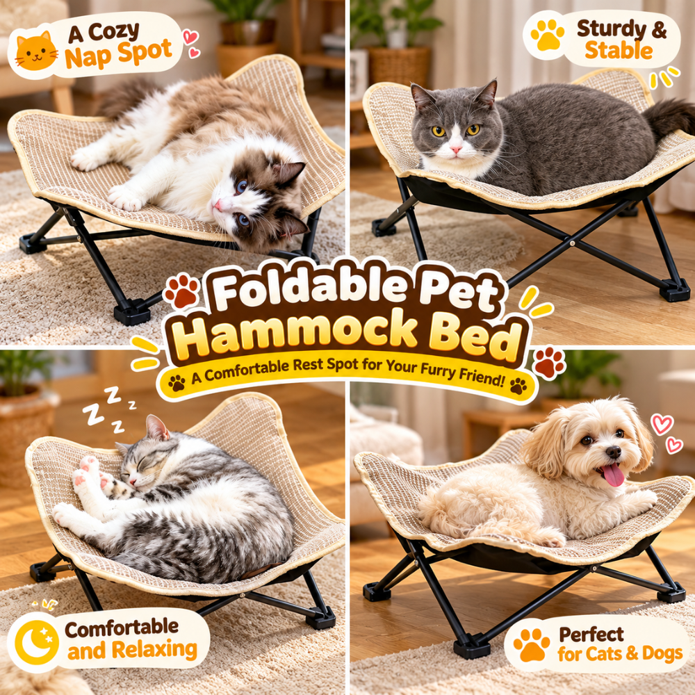 PurrLounge Foldable Cat Chair