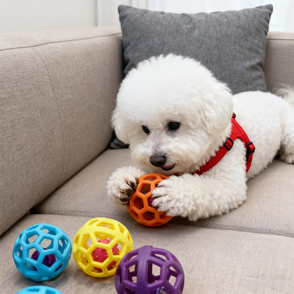 ChewQuest Puzzle Ball