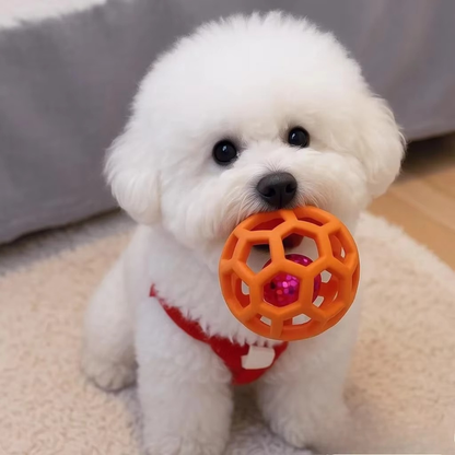 ChewQuest Puzzle Ball