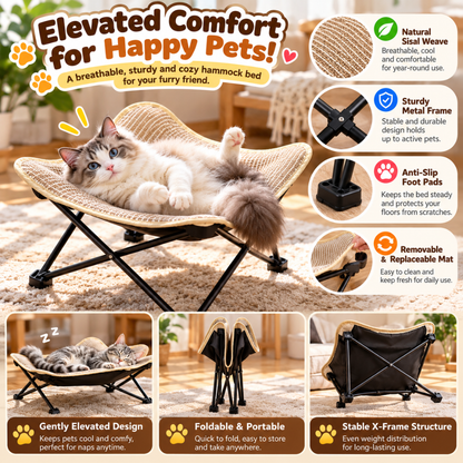 PurrLounge Foldable Cat Chair