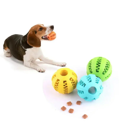 Snack & Play