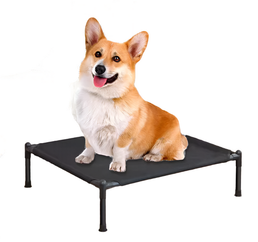 SkyNap Raised Bed