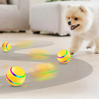 WaggleBall